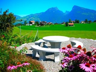 Ferienwohnung Aeschi bei Spiez Ferienwohnung Mehlbaum picture 1