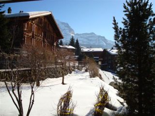 Ferienwohnung Wengen Ferienwohnung Schoneggacher picture 1